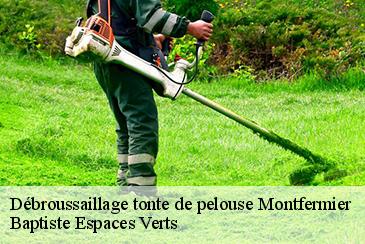 Débroussaillage tonte de pelouse montfermier-82270 Baptiste Espaces Verts
