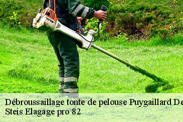 Débroussaillage tonte de pelouse puygaillard-de-quercy-82800 Steis Elagage pro 82