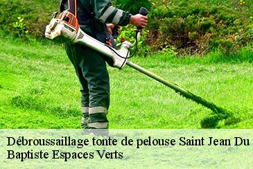 Débroussaillage tonte de pelouse  saint-jean-du-bouzet-82120 Baptiste Espaces Verts 
