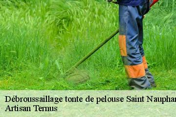 Débroussaillage tonte de pelouse  saint-nauphary-82370 Artisan Ternus