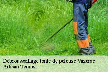 Débroussaillage tonte de pelouse  vazerac-82220 Artisan Ternus