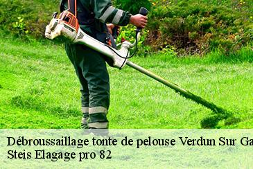 Débroussaillage tonte de pelouse verdun-sur-garonne-82600 Steis Elagage pro 82