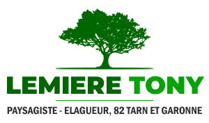 elagage-lemiere-tony